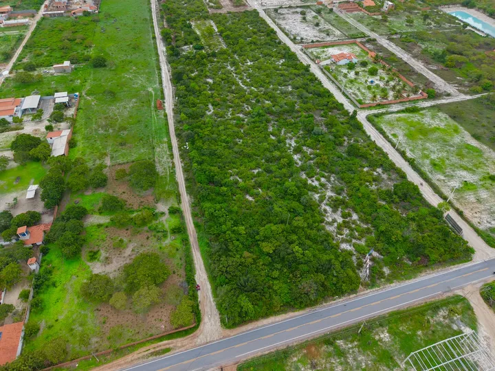 Terreno 50 × 100 m · 5.000 m²